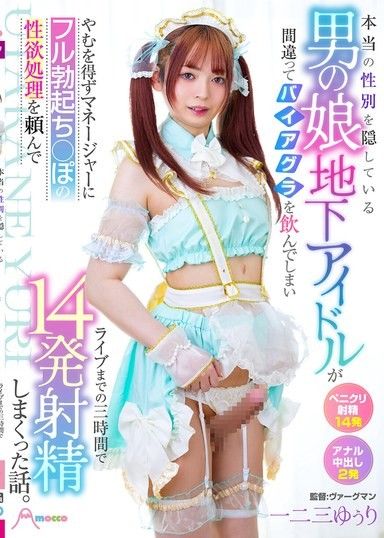 一位隱藏真實性別的異裝地下偶像意外服用了偉哥,被迫要求經紀人用完全勃起的陰莖來滿足他的性慾,導致他在演唱會開始前的三個小時內射精了14次。 Hifumi Yuuri
